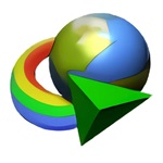 IDM Logo