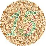Color Blind Test 1