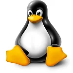 Linux Manakah Yang Sesuai? Linux
