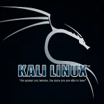 Kali Linux 2024.3!! kali linux menu