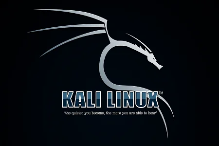 kali linux menu
