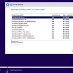 Windows 10 AIO 19H1 Update November 2021!! windows 10 aio 19h1
