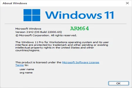 Windows arm64