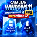 Windows 11 Home Single Language ke Pro