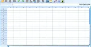 SPSS Menu